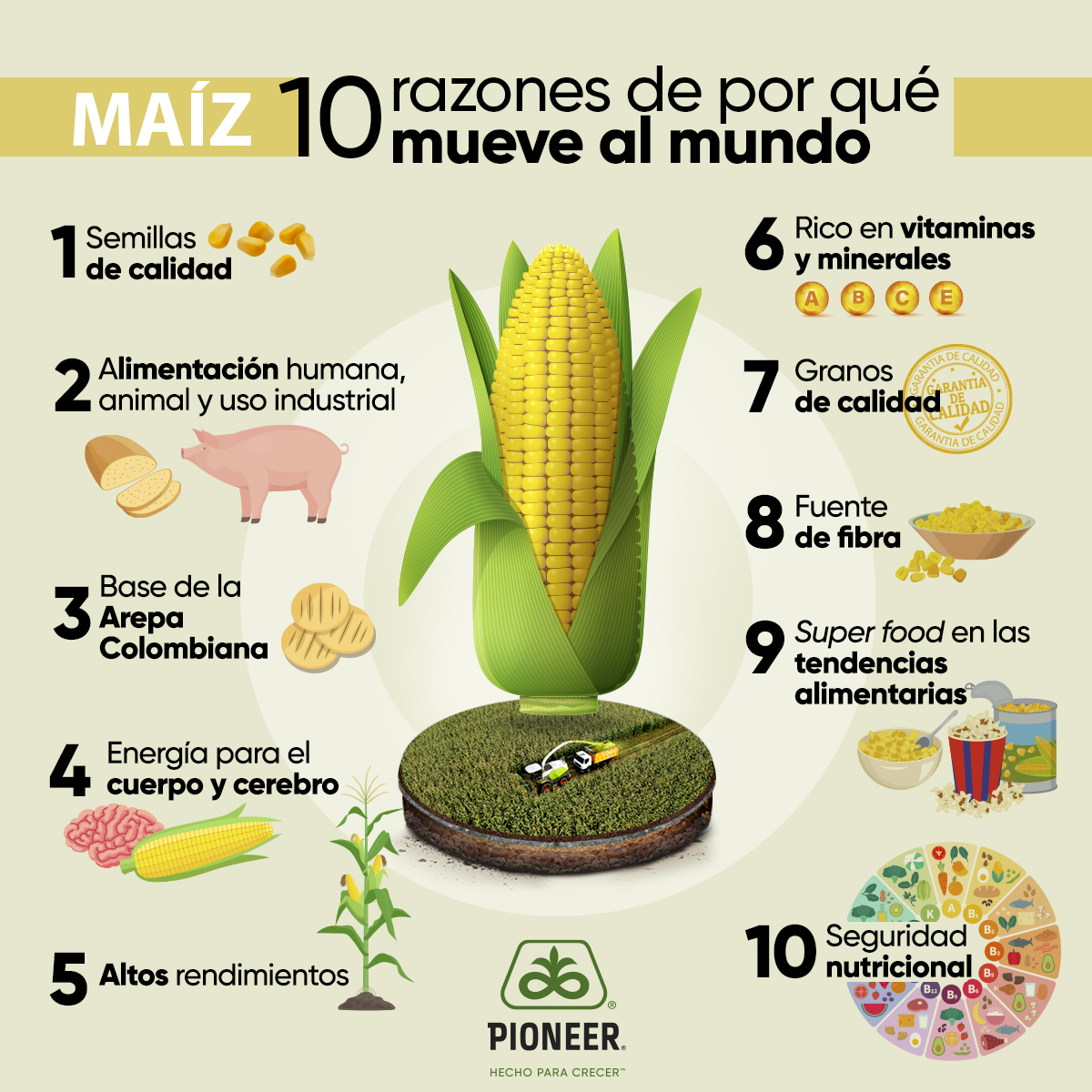 Maíz mueve al mundo y trasciende en la seguridad alimentaria